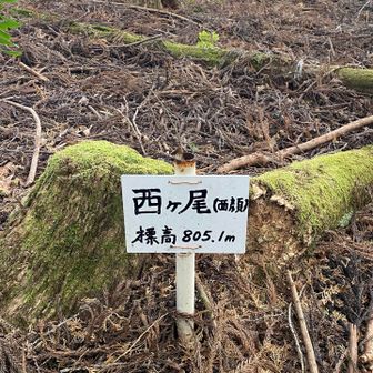 ここも別名あるし…