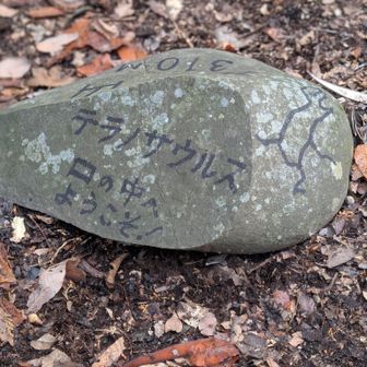 ティラノサウルスの口の中へようこそ！
（笑）