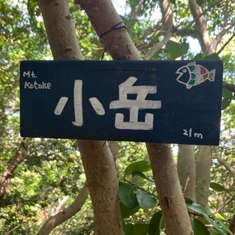 眺望なし