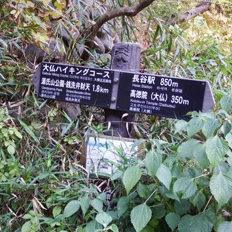 次は峯山〜桔梗山〜源氏山と進みます。