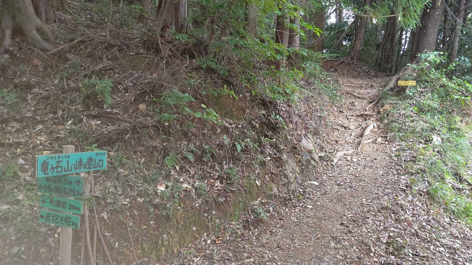 竜ヶ石山 周回コースの写真