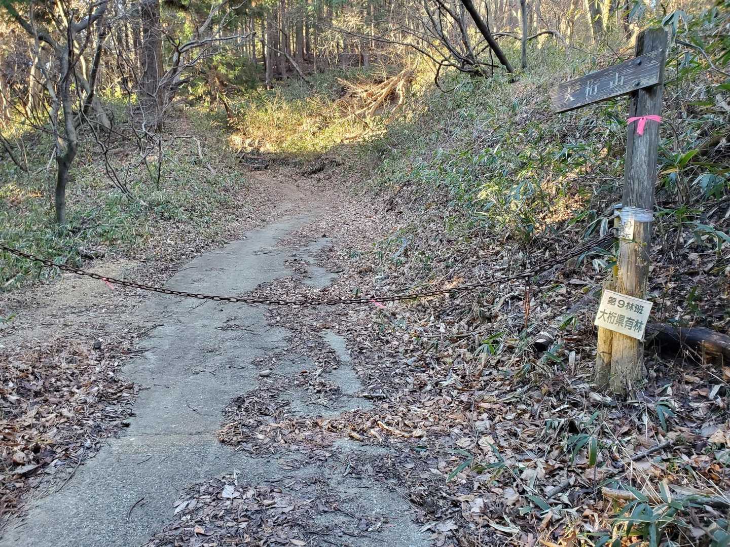 とにかく歩きやすい道が続く