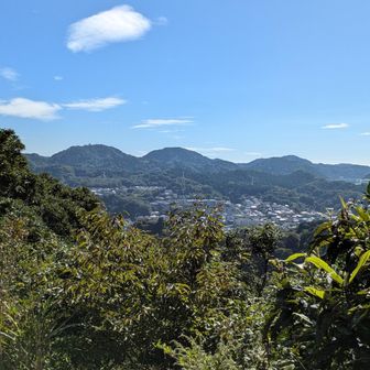 神武寺山からの眺め
二子山辺りが綺麗に