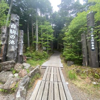 わくわく