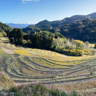 初めて見る雄大な棚田