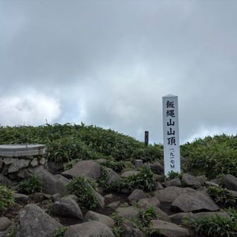 飯縄大権現にお参りしてから、山頂へ
大勢の人たちが休憩しています

手拭いを絞ると汗がポタポタ滴り落ちました💧
トンボがたくさん飛んでいました