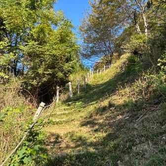 歩きやすい登山道。😊