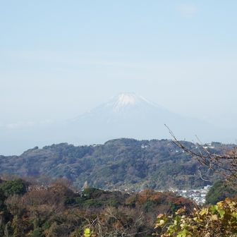 富士山🗻