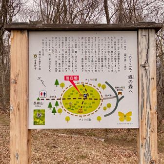 整備された蝶の森を歩く