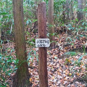 ジルミ峠 突入☝️