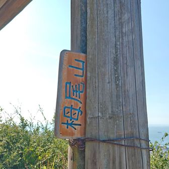 栂尾山