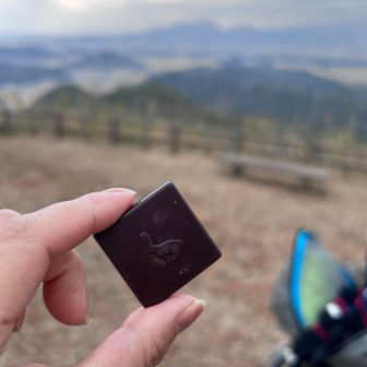 🐰🐇一期一会だ！ねえさんゴチ(๑´ڡ`๑)