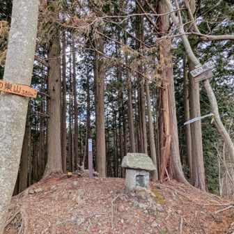 常陸国ロングトレイルキャンペーンの最後のランドマーク鷲の巣山に到着👍️