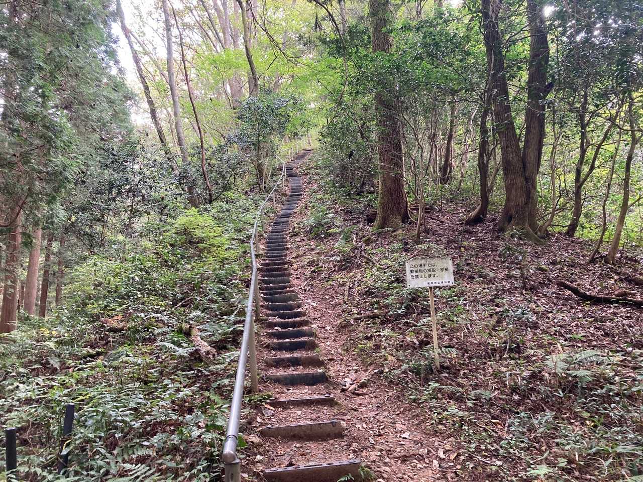 遣水観音山 周回コースの写真