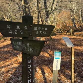 ヨコタニ峠
こういう峠が結構出てくる
看板が必ずあるので迷うことはない