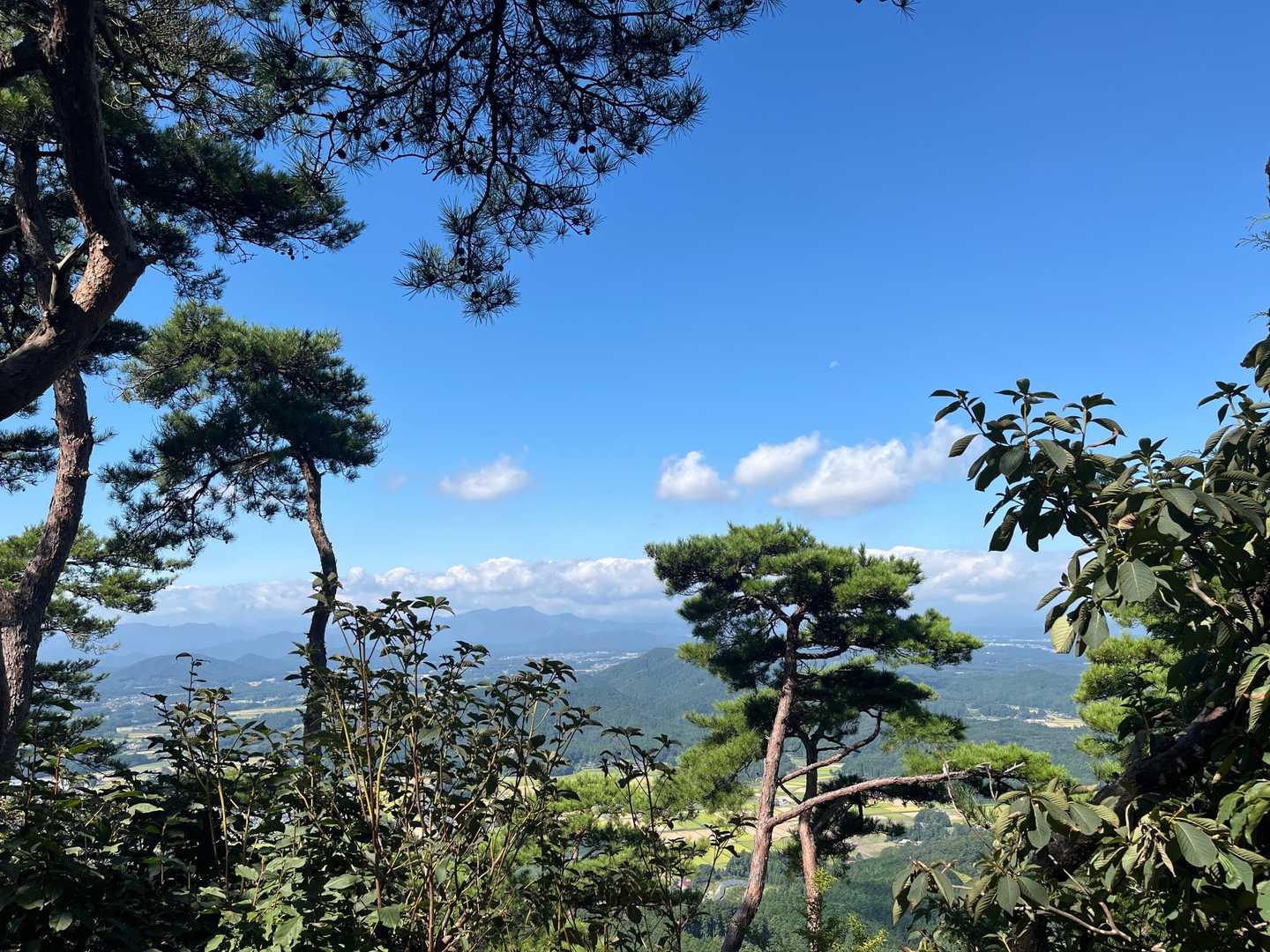 男山山頂からの展望！