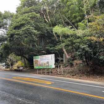 垂水峠まで降りてきました
車道はしっかり濡れてます😅