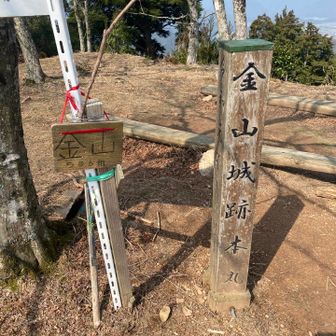 金山登頂🎉
ここでYAMAPの記録を目にするが、ペースが200%近い💦
自分ではそんなに早く歩いているつもりはないのだが、ソロだと自然と足早になっているみたいだ😓
そら、オーバーヒート気味になりますわ😭