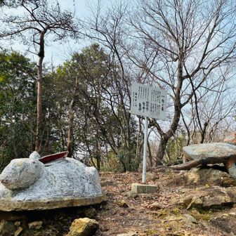 兎と亀の伝説は、ここらしい…
「と、言われている」って🤣