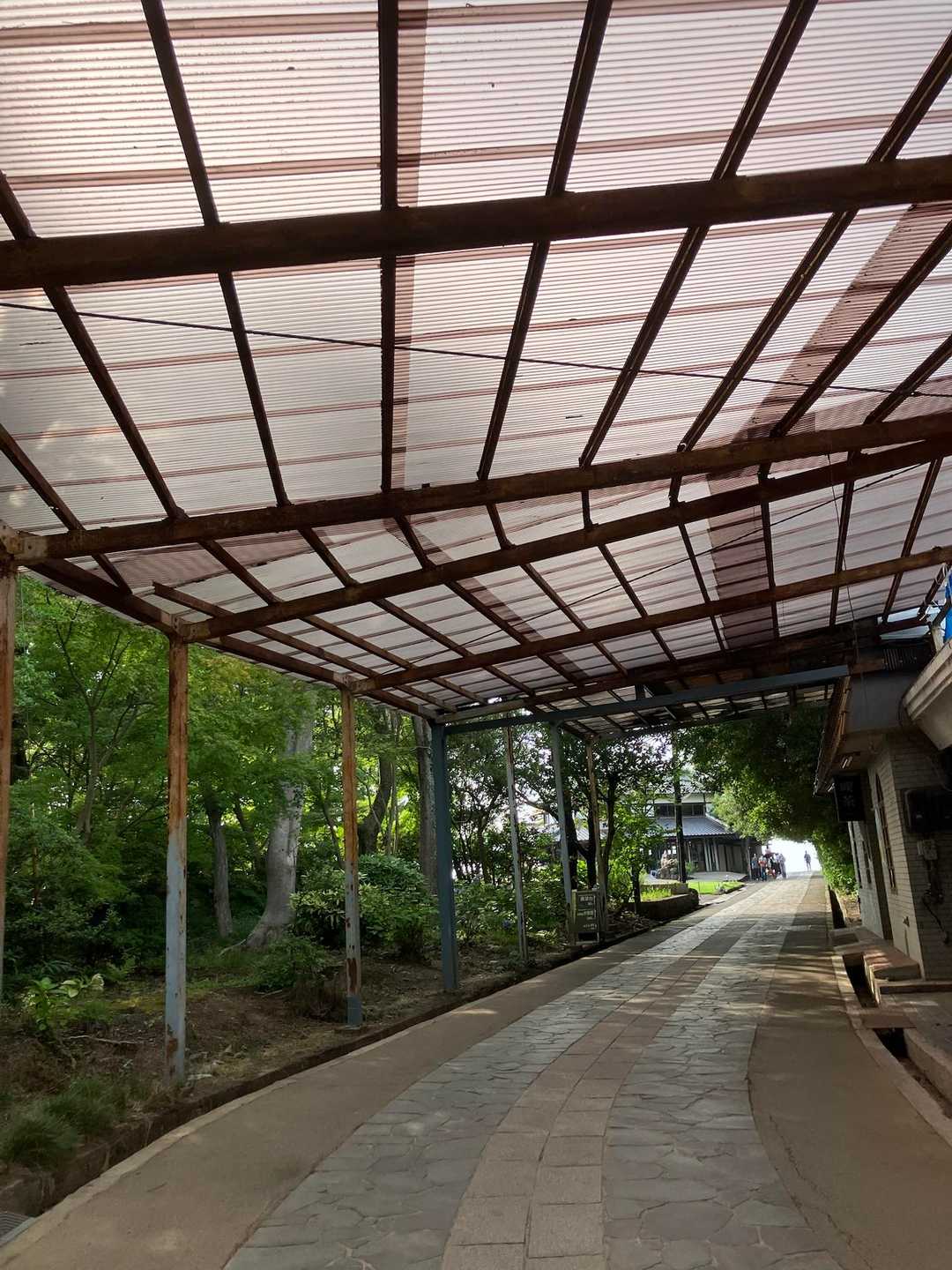 きっと昔歩いたのはこの道なんだろうな、知らんけど😓