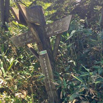 富士見峠まで行けば見晴まで直接降りるコースもあるのですが、今は通行止めなので〜
ちょっと手前の長沢新道で竜宮十字路へ下山