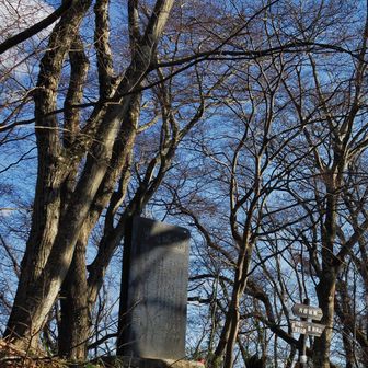 月居山到着。
思い出深い山。ワンゲル部の初の合宿が月居山～男体山縦走（なぜか夕方出発→大円地でテント泊）。娘と歩くようになるとは…。
山頂のベンチに座り、東側を見たら夥しい数の太陽光パネルが視野に入り、非常に残念。