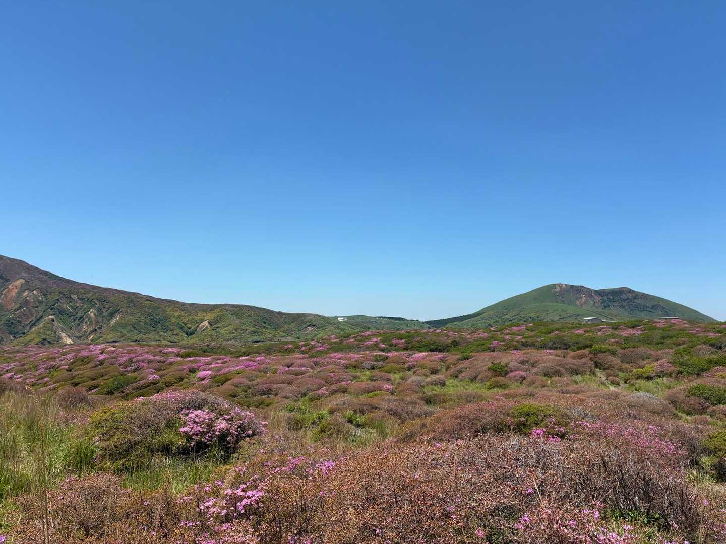 古坊中登山口-皿山-砂千里登山口 周回コースの写真