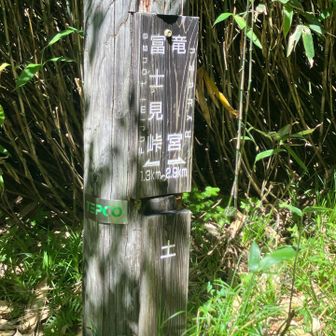 この土場の先で前回は熊に遭遇したそうだ。