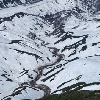 なんか蛇行した跡あるし😱