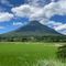 イケシュン