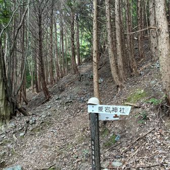あっという間にヘルメット分岐へ
