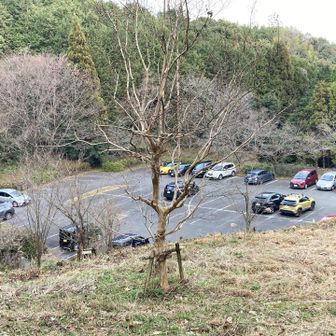 夕方のポケットパーク
３～4割程停まっています。