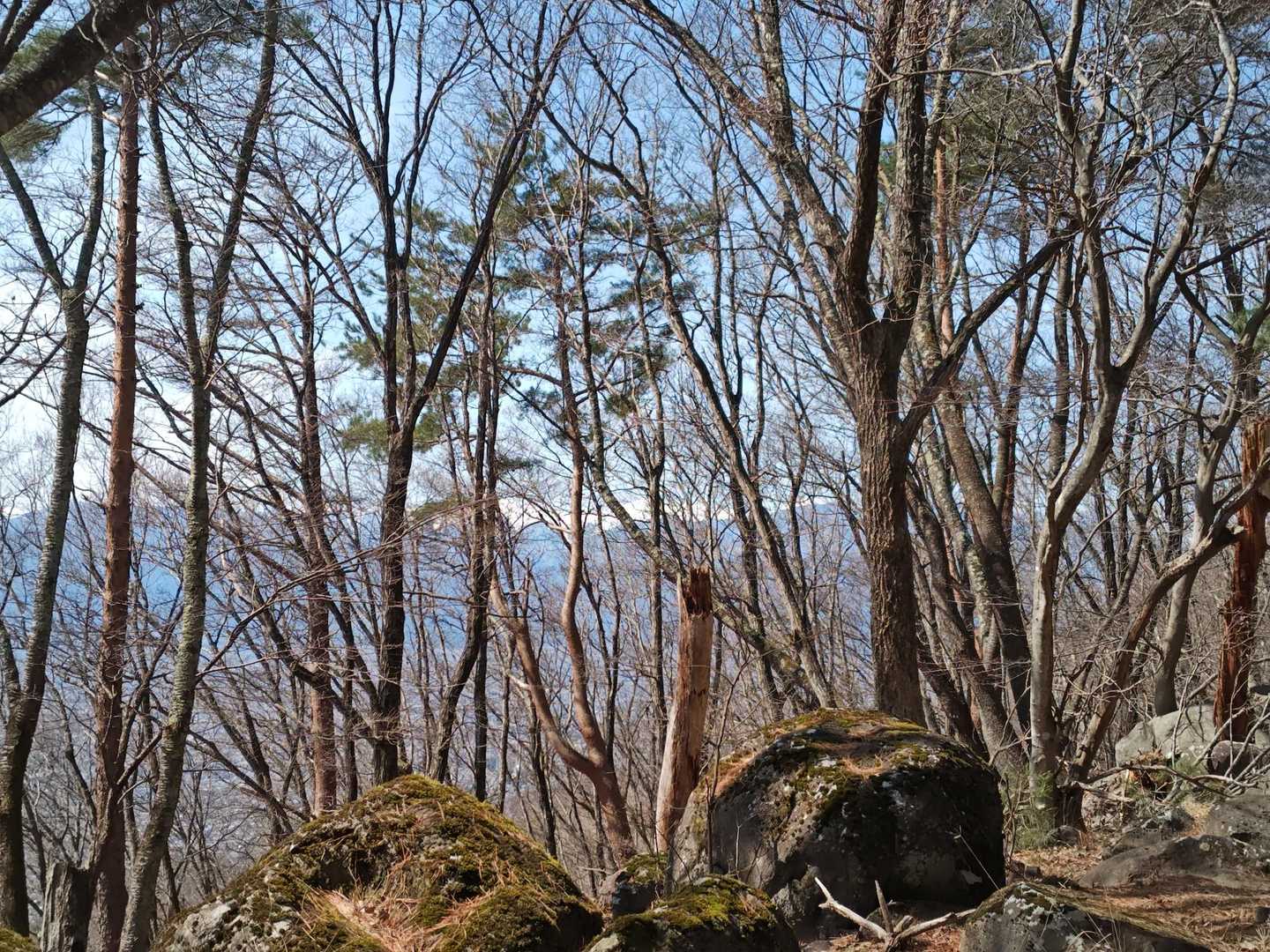 木々の合間から南アルプス⛰️
実際はもっとよく見えます✨