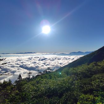 太陽も上がった