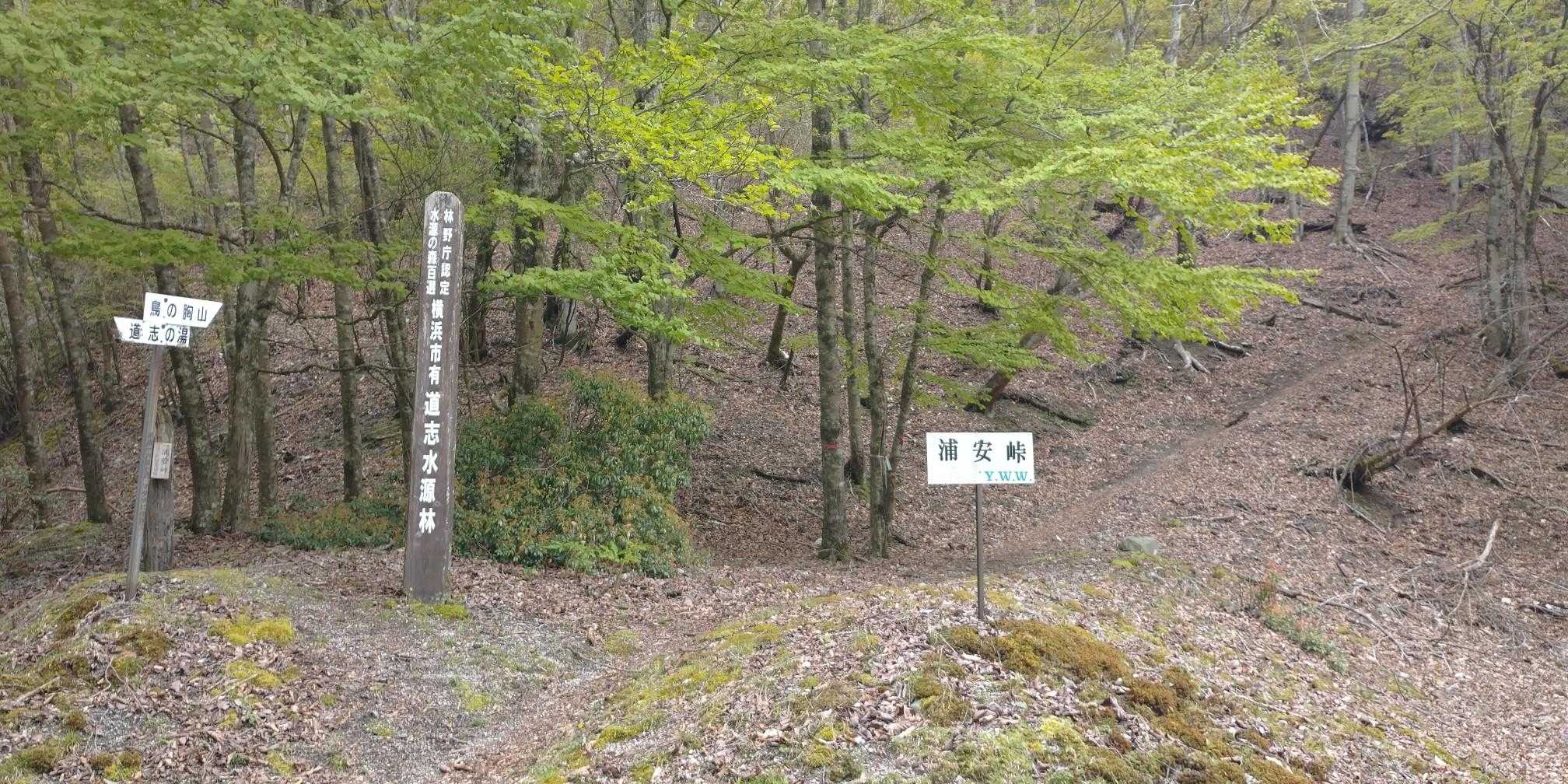 浦安峠。
「林野庁認定水源の森百選」
だけあり雰囲気の良い場所👍️
この先は…