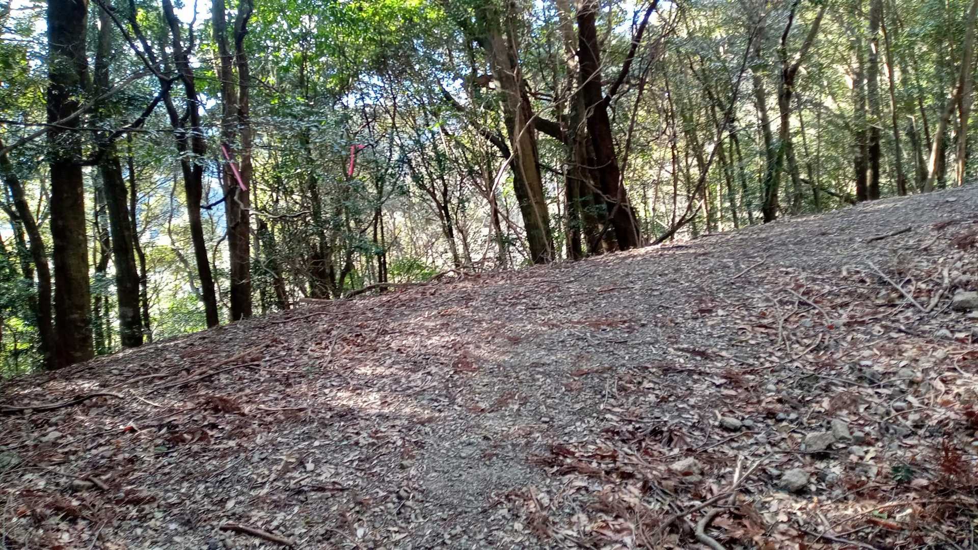 林道