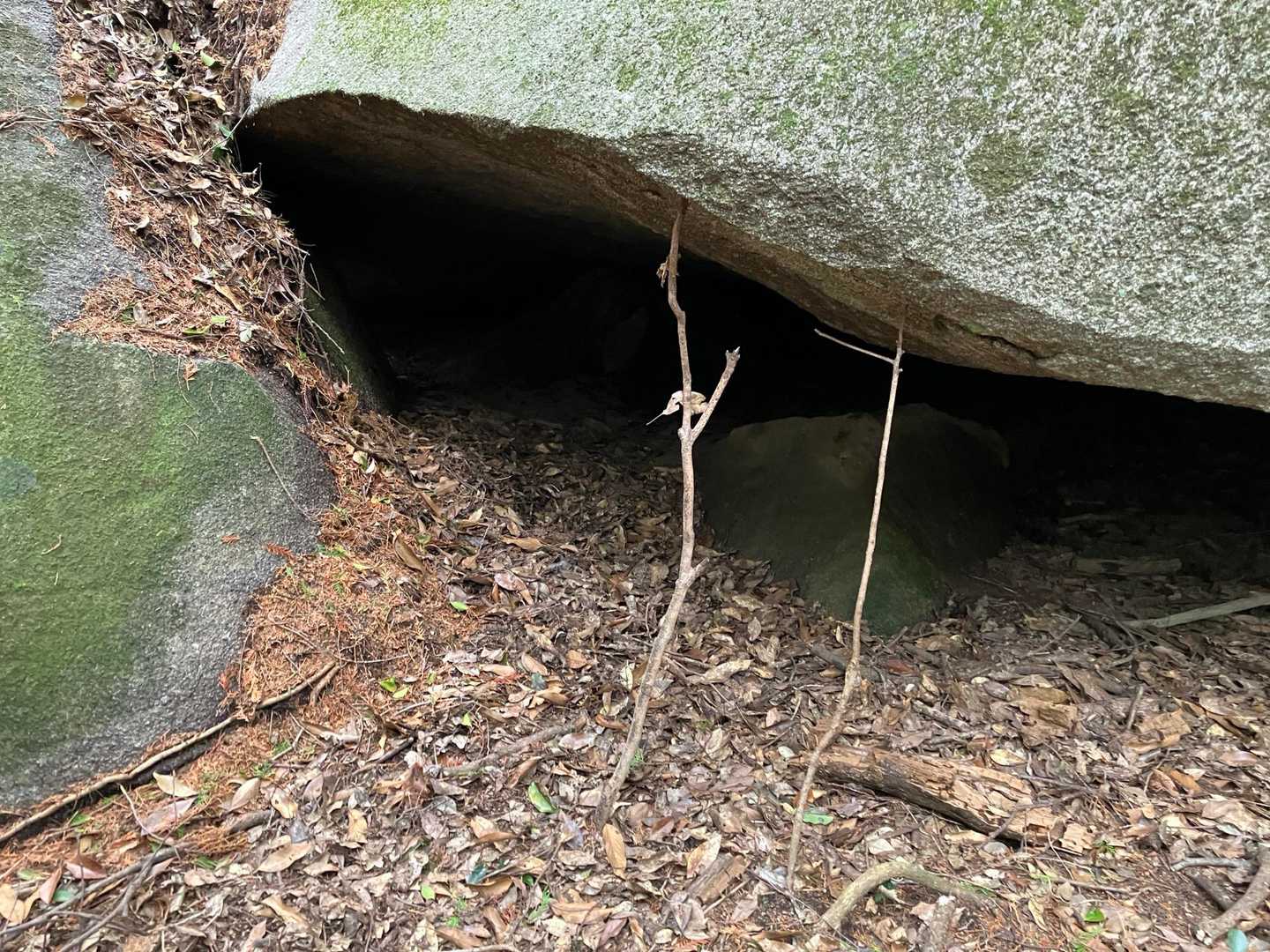 土器山-猿岳-腰巻山 往復コースの写真