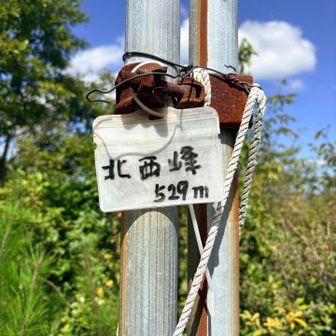 落葉山北西峰　標高529m🙌