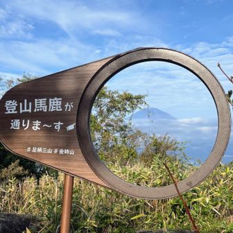 熊は川のそばに座っていた

大きな熊だった

黒い毛はところどころ濡れていて
左の耳の先が少し欠けていた