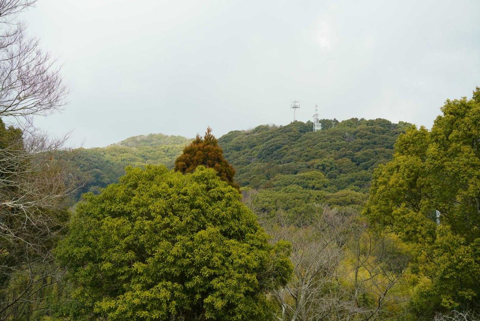 振り返って📸