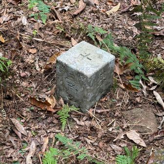 三角点△まである、では気が済んだので下山だ🤣