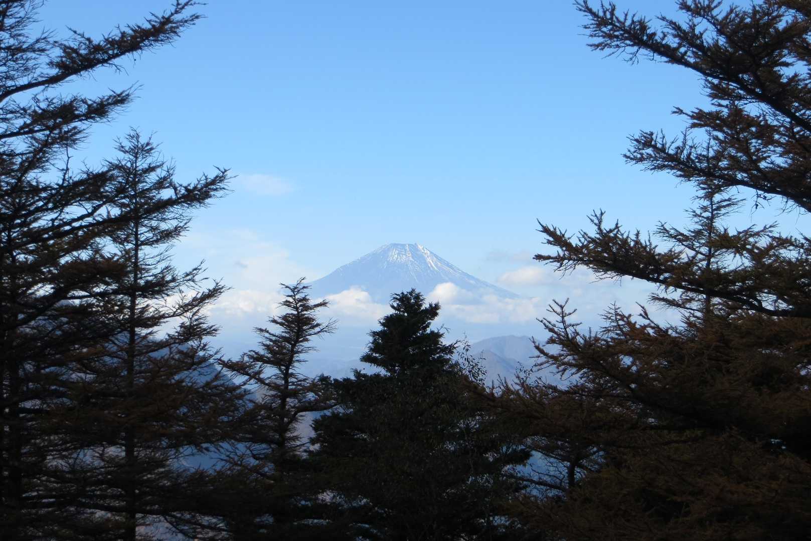 富士山発見！