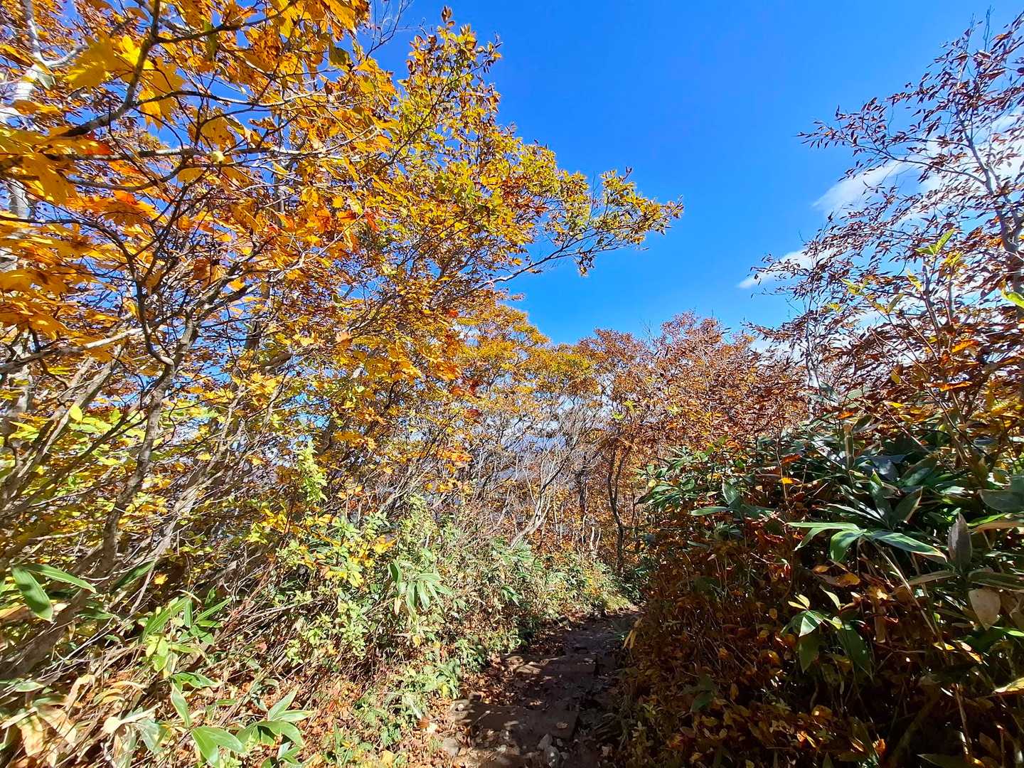 天神峠-熊穴沢ノ頭-登山入口 縦走コースの写真