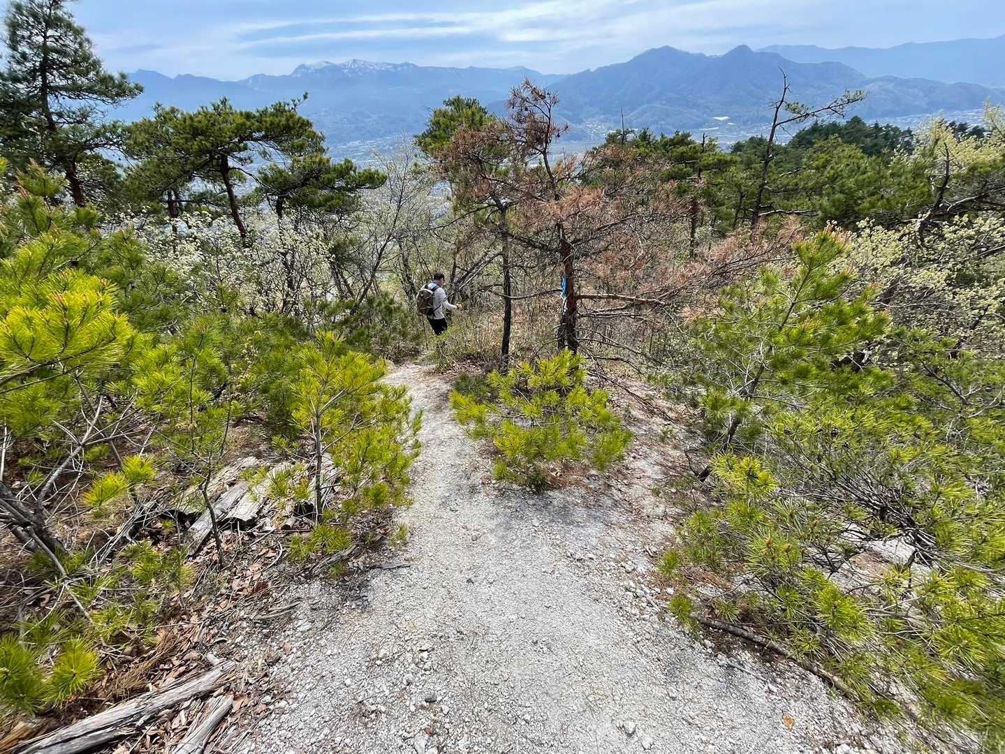 あとは下るだけ〜

白禿山と秋葉山の山頂標も無いよ