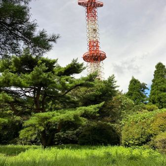 塔が多いです。