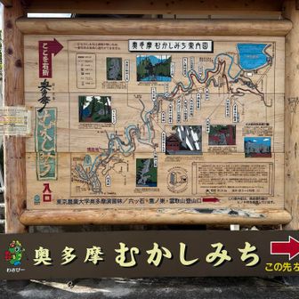 奥多摩むかしみちの
始まり？笑