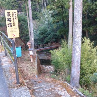 ロードから長井坂西入口
世界遺産の古道に入ります