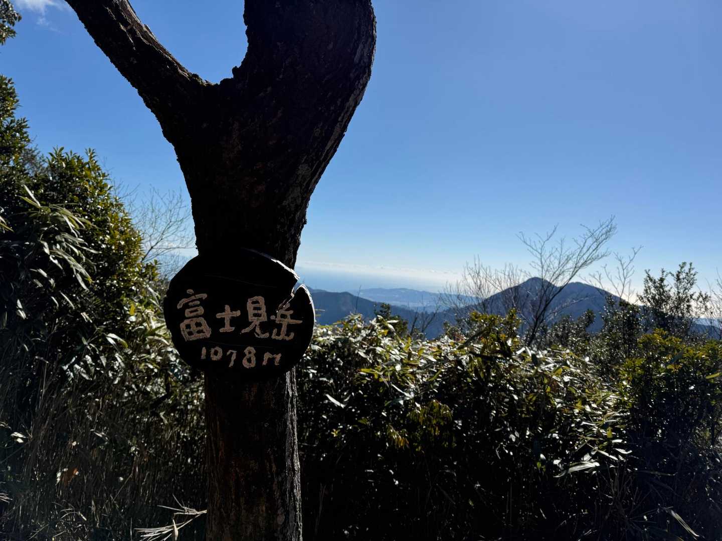 富士見岳
ここから富士山は見えません😅
見えるのは竜爪山