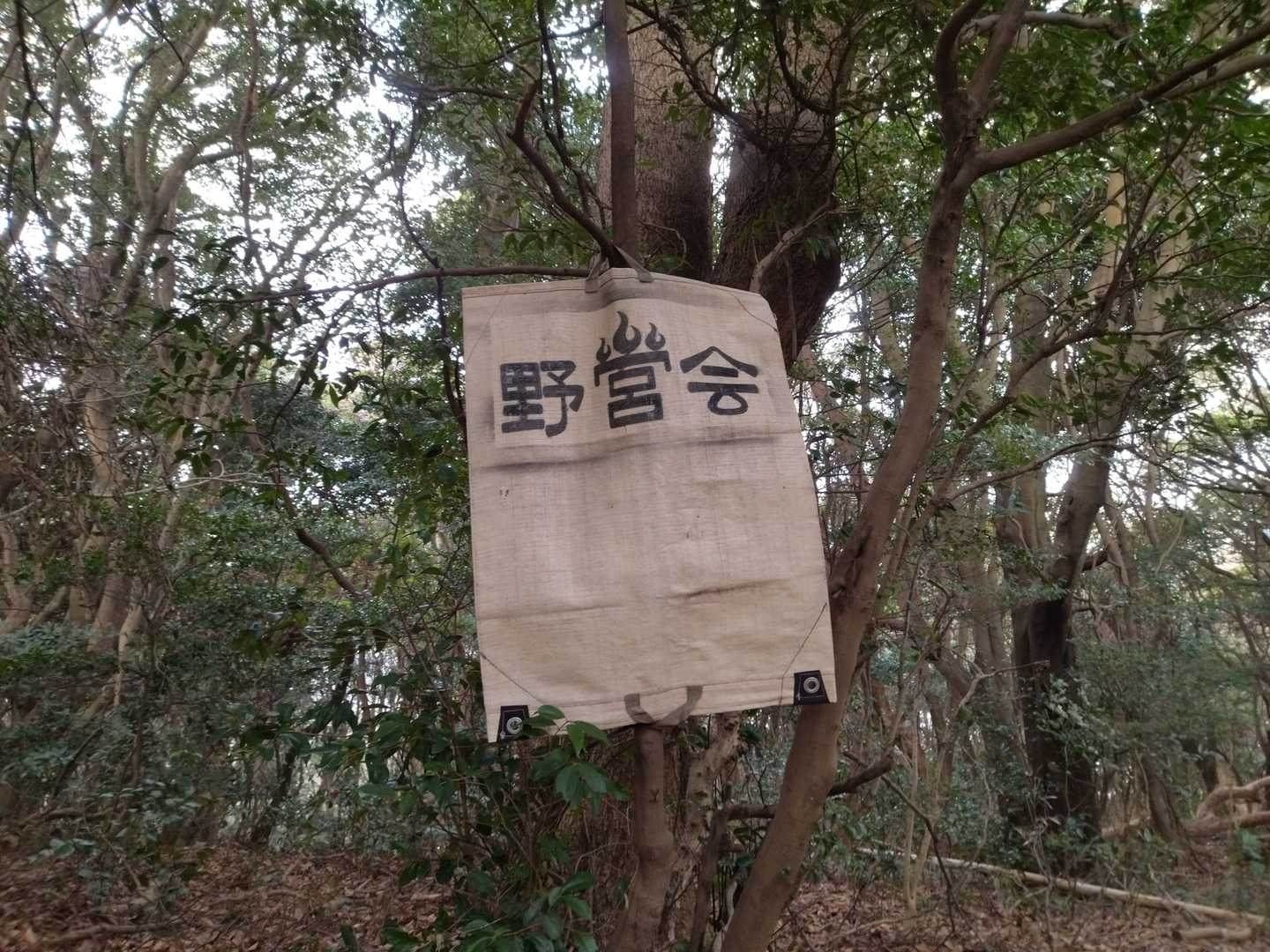 寄り道して2つ目のピーク、丸山ゲット✌