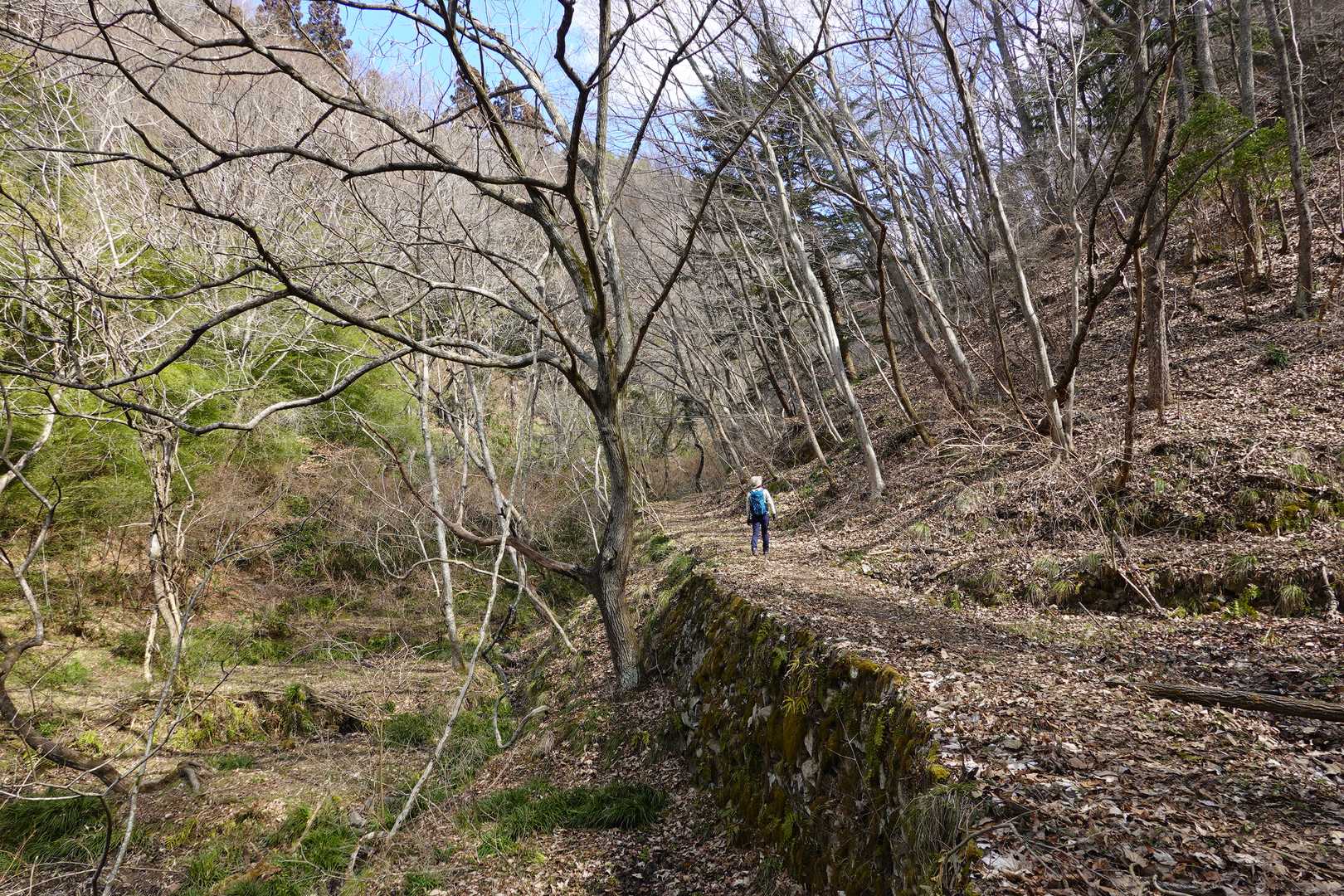 空が開けて来ました！
林道が近いかな～
